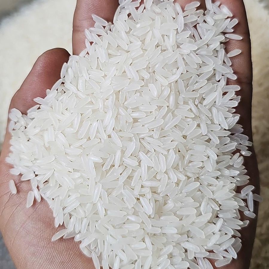 Handful of Hom Mali Jasmine rice grains